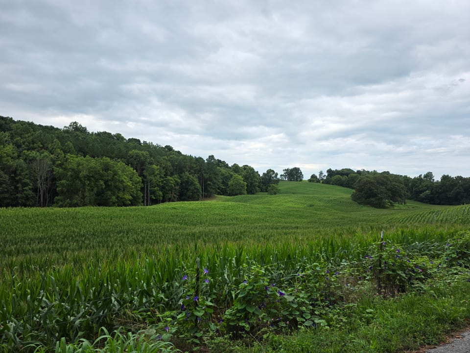 Farmland near Bristol, TN.